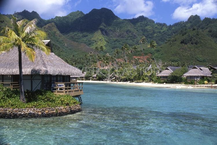 Islands;huts;ocean;palm trees;blue;water;sky;moorea;french polynesia;blue water
